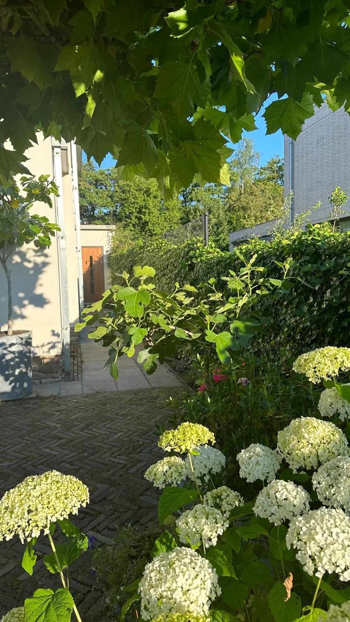 Luxe B&B "In De Schulp", Ontspan En Geniet Van Comfort En Stijl Amstelveen Exterior foto