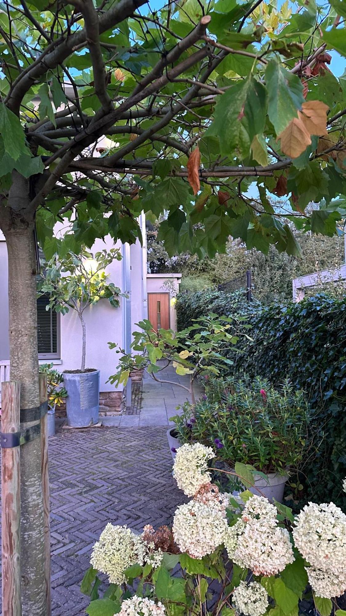 Luxe B&B "In De Schulp", Ontspan En Geniet Van Comfort En Stijl Amstelveen Exterior foto